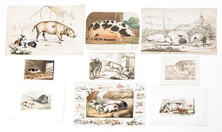 Group of twenty-seven lithographs with pig subject