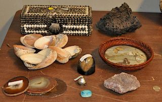 Estate Group Of Mostly Natural Items