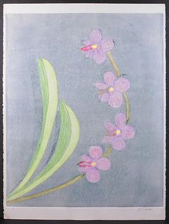D. Pacella: Purple Orchid