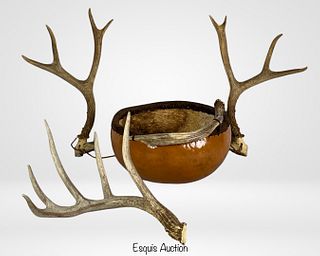 Native American Gourd Basket & Deer Antlers