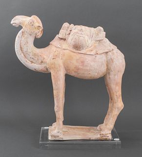 Chinese Tang Dynasty Ceramic Camel Tomb Figure