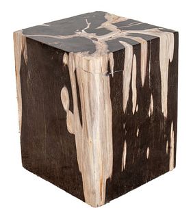 Minimalist Petrified Wood Side Table Garden Stool