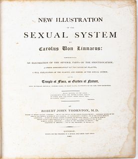 Robert John Thornton, New Illustration Of The Sexual System Of Carolus Von Linnaeus,  1807, H 23" W 3" Depth 18.75"