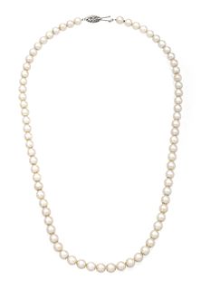 Cultured Pearl Necklace, 7.0mm, 14kt White Gold Clasp, L 21" 40g
