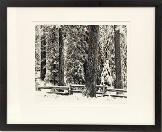 Monte Nagler (American, B. 1939) Gelatin Silver Print 2007, Mariposa Grove In Winter, H 15.5" W 18.5"