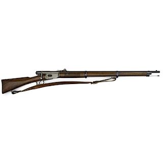 Swiss Vetterli M1871 Rifle