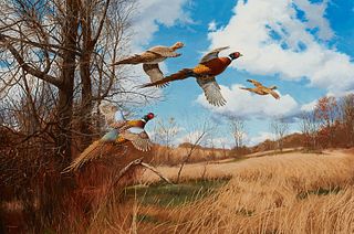 David Maass "Tomahawk Trail: Pheasants" Painting