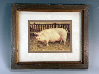 PRINT OF PIG BY JAMES WYETH
