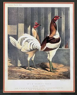 CASSELLS POULTRY BOOK ROOSTER PRINT 