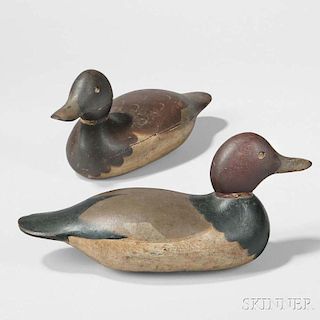 Pair of Painted Mason Challenge Grade Canvasback Duck Decoys
