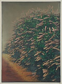 Large Scale (American, 20th c.) Horticultural Lithograph