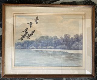 Large John Sudy watercolor wild fowl Canadian Geese Landing, signed