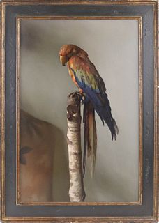 Nelson Shanks, Oil on Canvas, The Parrot