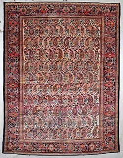 Fine Antique Malayer Boteh Rug: 8'9'' x 11'4'' (267 x 345 cm)