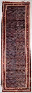 Antique West Persian Kurd Rug: 5' x 15'7'' (152 x 475 cm)