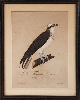 Johann Conrad Susemhil, Pair of Osprey Engravings