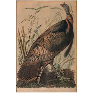 Audubon Chromolithograph, Wild Turkey, Bien Edition