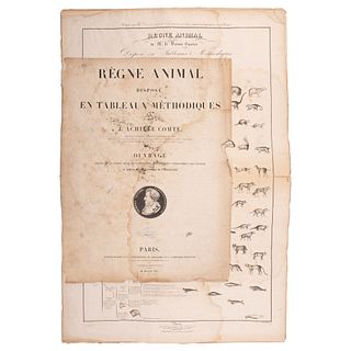 Comte, J. Achille. Règne Animal Disposé en Tableaux Méthodiques. Paris, 1840. 82 láminas.