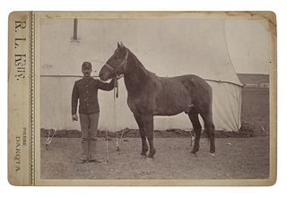 Captain Miles Keogh's Comanche War Horse Photo