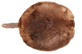 Large Montana Tanned Beaver Hide