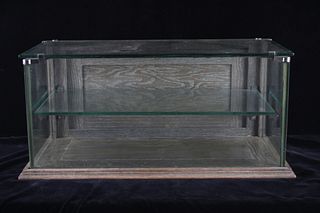 1910s Wilmarth Glass & Wood Display Case
