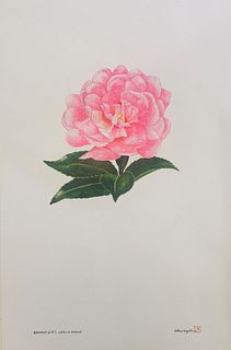 Satsou Suzuki- Original painting on paper