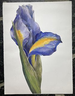 Large Iris Lithograph, signed, A/P, blindstamp