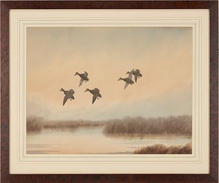 J.D. Knapp Watercolor, Ducks in Flight