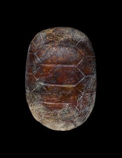 Turtle Shell, Shang Period (1600-1100 BCE)