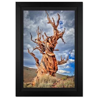Jongas, "Withness Of Time" Framed Limited Edition Photograph on Canvas, Numbered and Hand Signed with Letter of Authenticity.