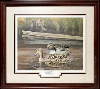 JIM FOOTE LITHOGRAPH SPRING COURTSHIP PINTAILS 1884
