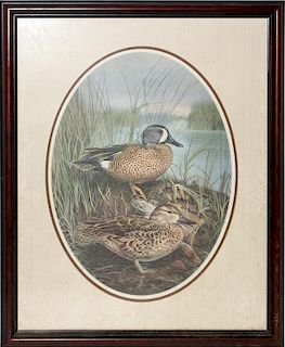 LITHOGRAPH DRAKE AND DUCK IN MARSH