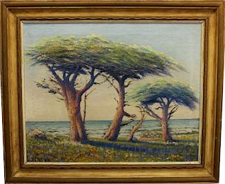 William Adam (1846 - 1931) Monterey Cypress