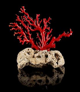 A Red Coral Carving Height 9 1/4 inches.