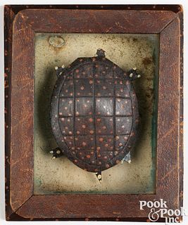 Folk art carved and painted turtle and case