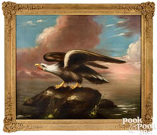 Oil on canvas portrait of an eagle, 19th c.