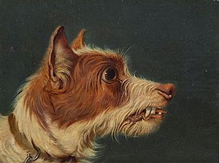 English School, (19th century), Portrait of Growling Terrier