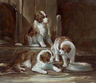 English School, (20th century), Three Brown and White Mastiff Puppies