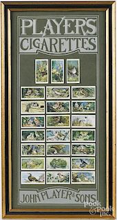 Two framed groups of Old English Cigarette Cards from Wills and Players, depicting birds and flowers