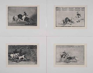 Study Collection, Goya