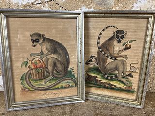 Mongoose Engravings