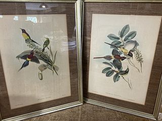 Two Bird Lithographs