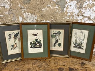 Four Audubon Prints