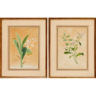 Pair botanical watercolor paintings