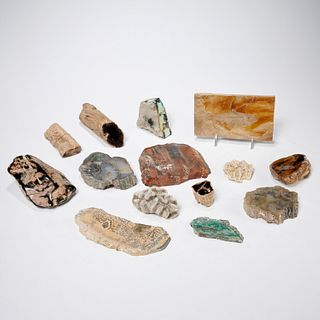 Mineral, fossil, and coral collection