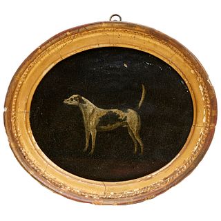 Francis Turner (attrib), oil panel, dog portrait