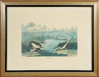 John James Audubon (1785-1851), "Spotted Sandpiper