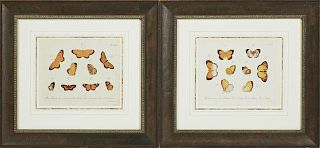 "Orange Butterflies," 19th c., pair of prints, pre