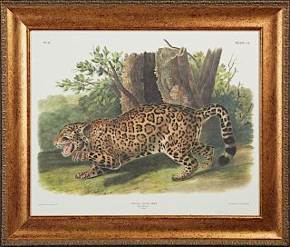 John James Audubon (1785-1851), "The Jaguar, Femal