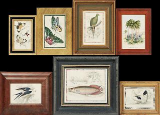 Group of Seven Miscellaneous Framed Pieces, consis